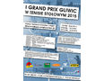 Grand Prix Gliwic 2015